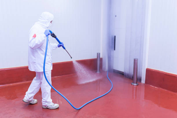 Best Building Exterior Washing  in Ridgeway, VA